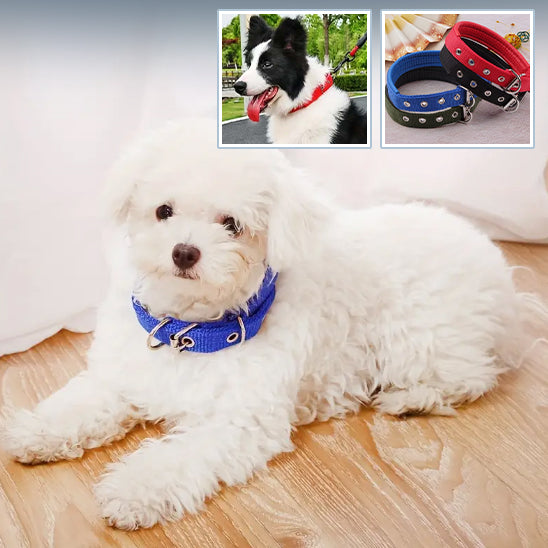 Collier pour Chien NekStrapâą