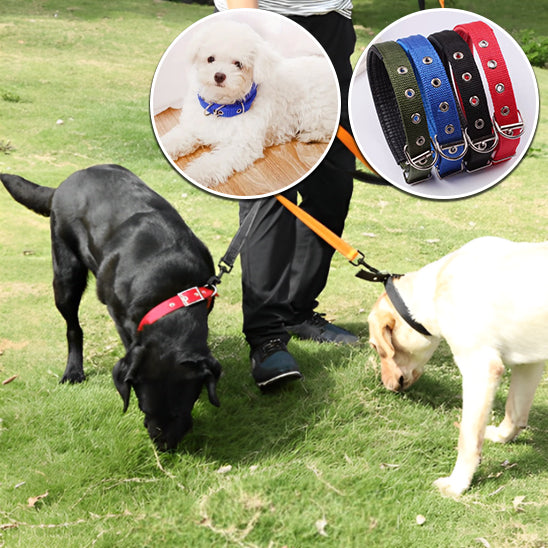 Collier pour Chien NekStrapâą
