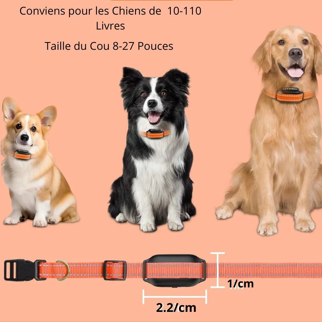 Collier de Dressage pour Chien / Vibrant ViibratingTower âą