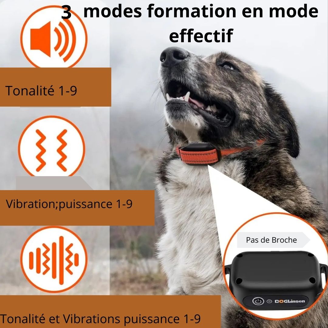 Collier de Dressage pour Chien / Vibrant ViibratingTower âą
