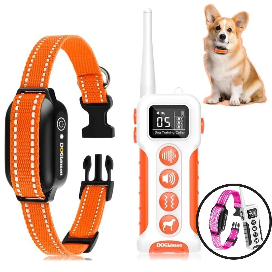Collier de Dressage pour Chien / Vibrant ViibratingTower âą