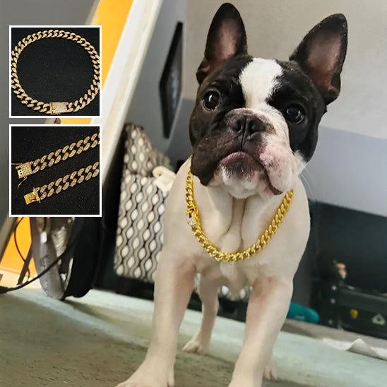 Collier pour Chien Luxe / DogStyle™