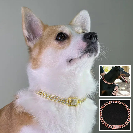 Collier pour Chien Luxe / DogStyle™