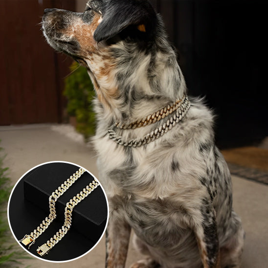 Collier pour Chien Luxe / DogStyle™
