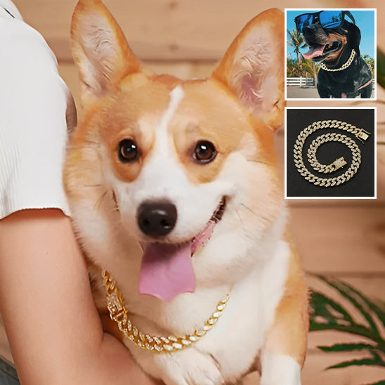 Collier pour Chien Luxe / DogStyle™