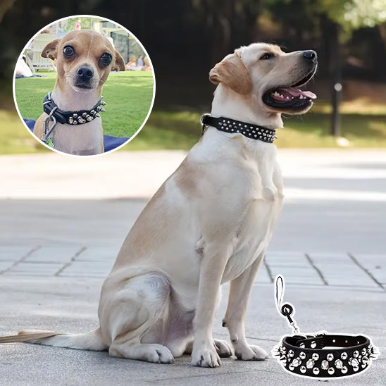 Collier Chien / cuir clouté rock NailStrip™