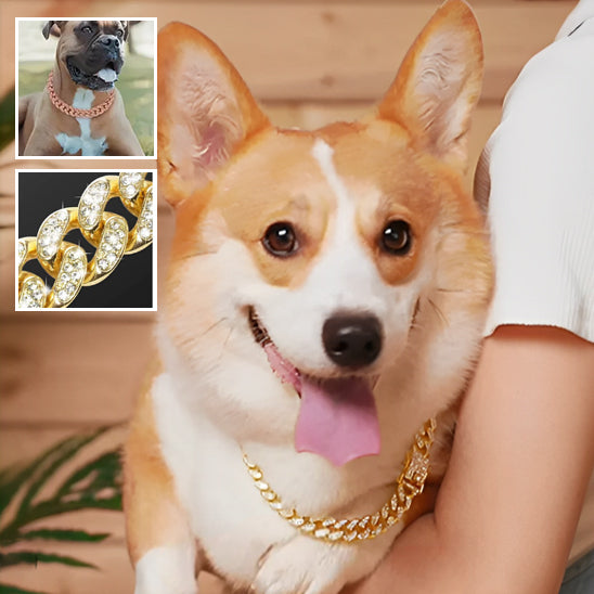Collier pour Chien Luxe / DogStyle™