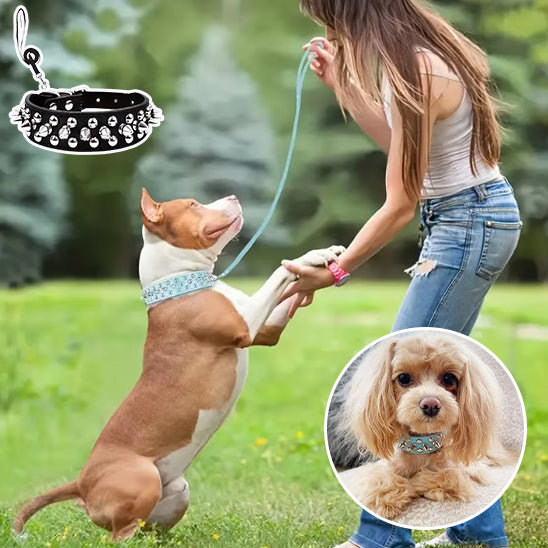 Collier Chien / cuir clouté rock NailStrip™