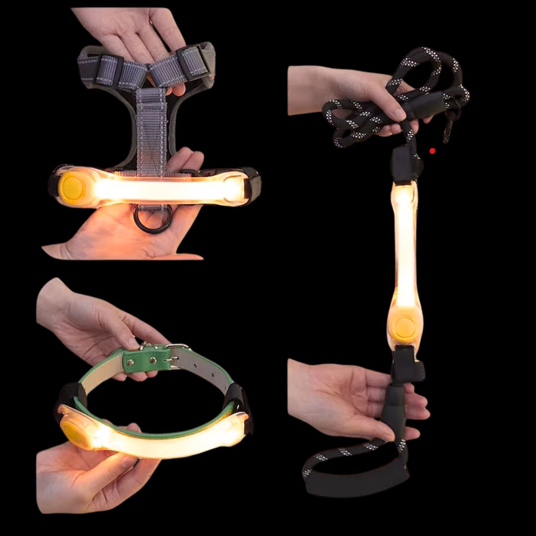 Collier Lumineux Chien/ LumiBand âą