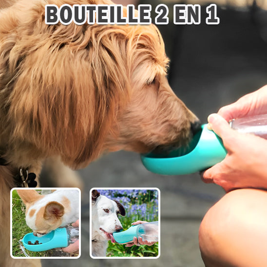 Gourde pour Chien/ BotleOutâą