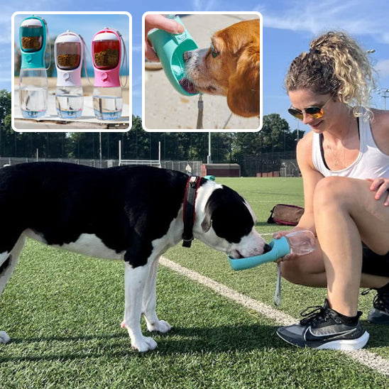 Gourde pour Chien/ BotleOutâą