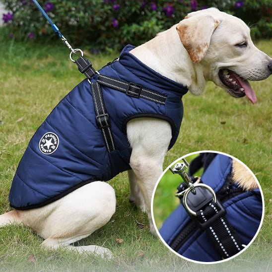 Harnais pour Chien Manteau WarmCoatâą