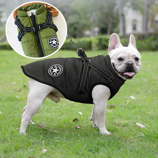 Harnais pour Chien Manteau WarmCoatâą