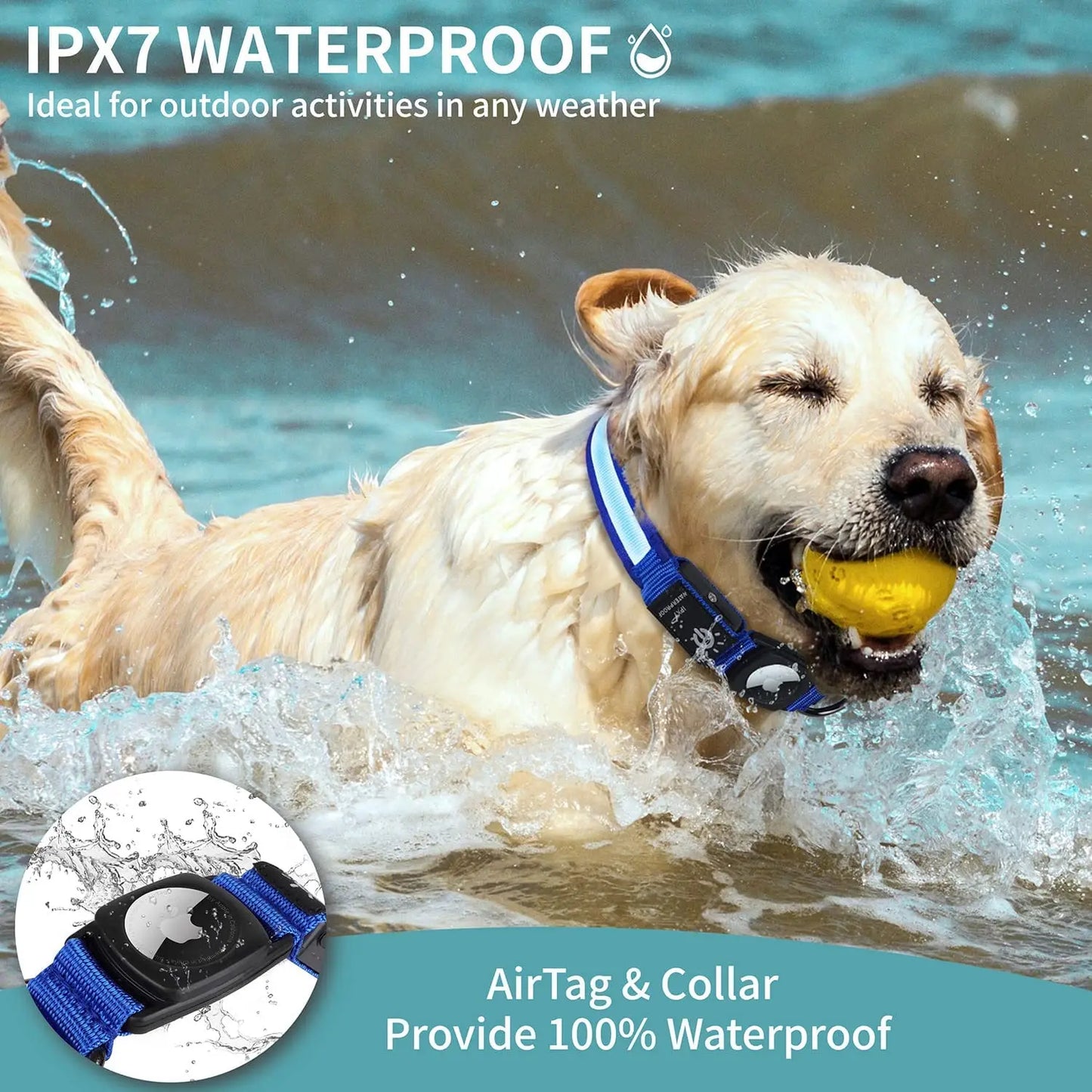 Collier GPS chien éclairé