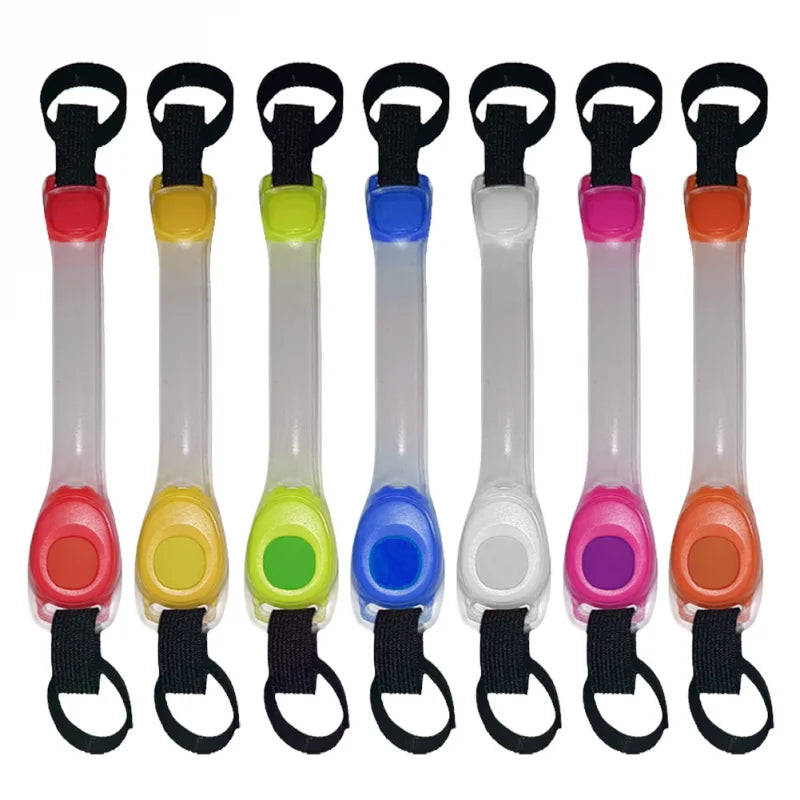 Collier Lumineux Chien/ LumiBand âą