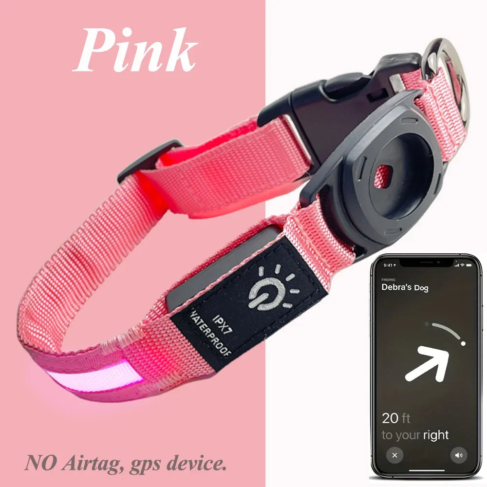 Collier GPS chien éclairé