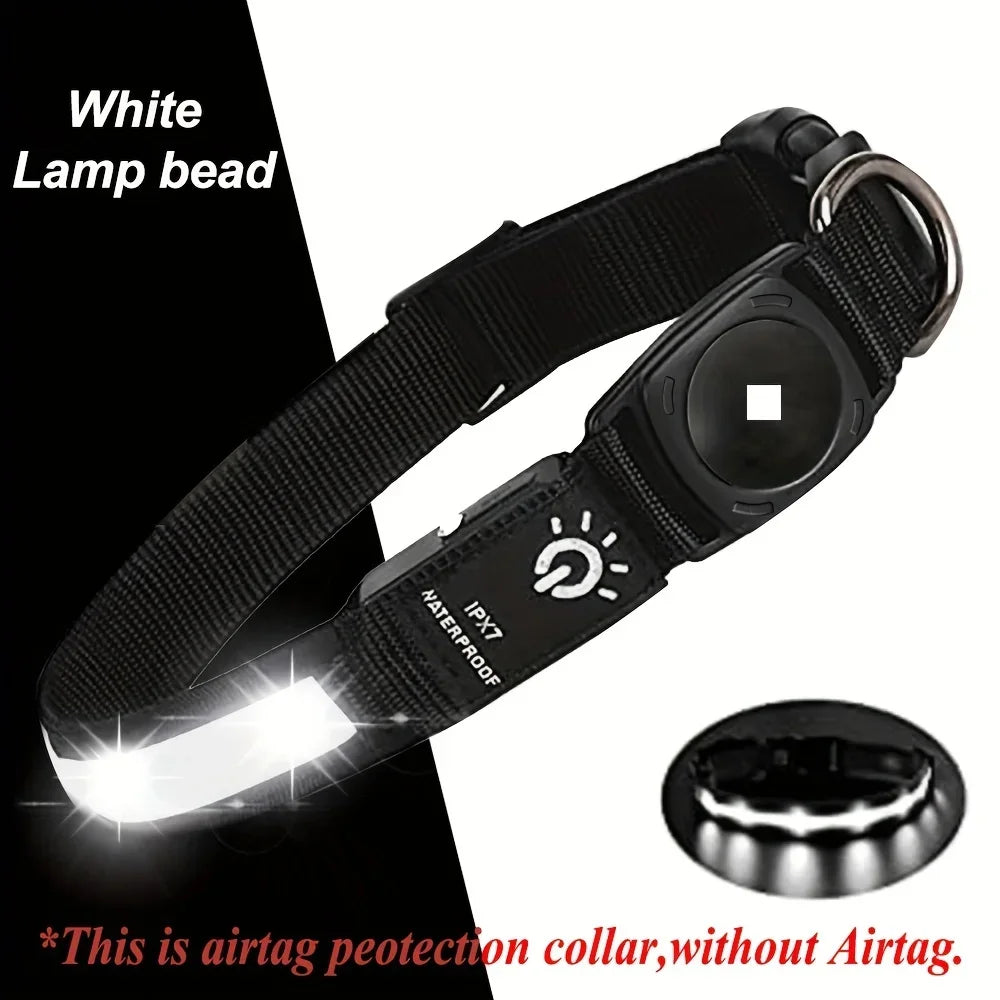 Collier GPS chien éclairé