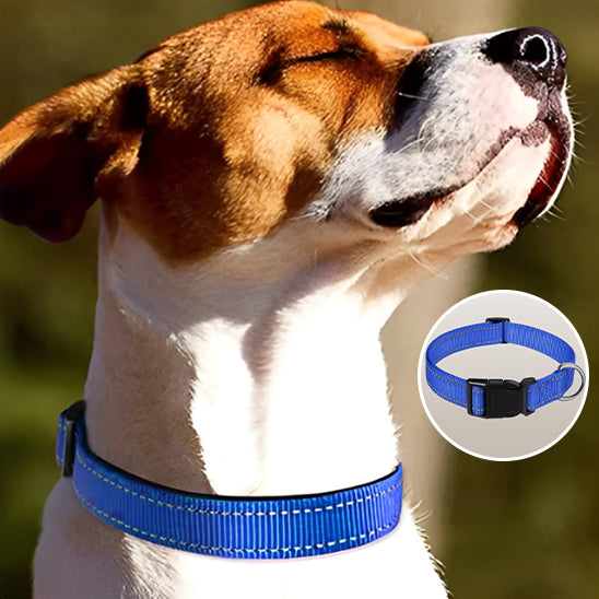 Collier pour Chien Nylon Reflaichissant/ HardLinkâą