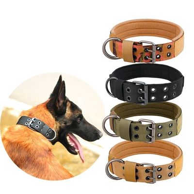 Collier chien tactique/TacticalCollarâą