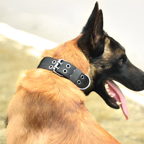Collier chien tactique/TacticalCollarâą