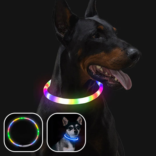 Collier Chien Lumineux/ MagicCircleâą