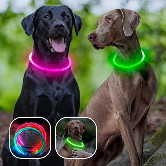 Collier Chien Lumineux/ MagicCircleâą