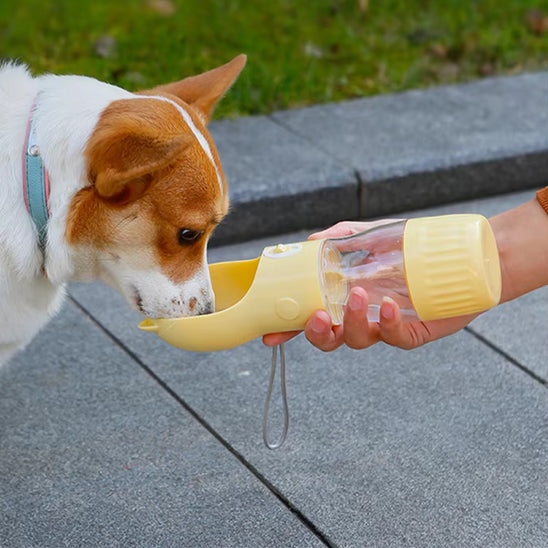 Gourde pour chien petites oreilles/HinkingBottleâą