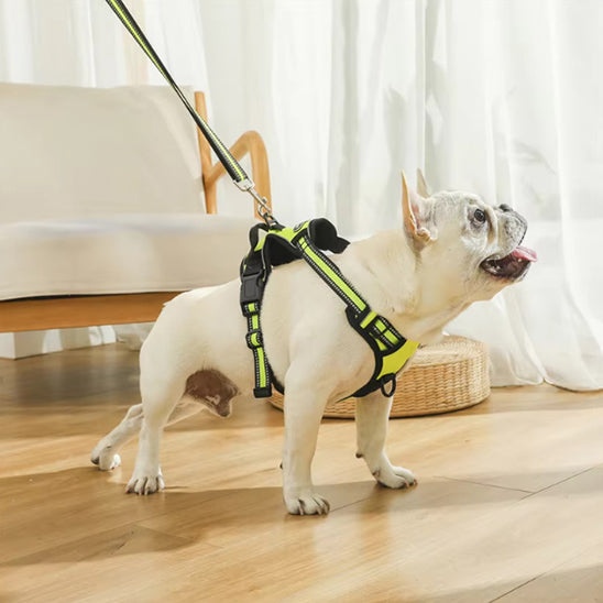 Harnais chien réfléchissant SafetyHarness™