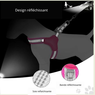 Harnais chien /mode/HarnessStyleâą