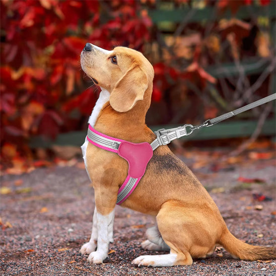 Harnais chien /mode/HarnessStyleâą