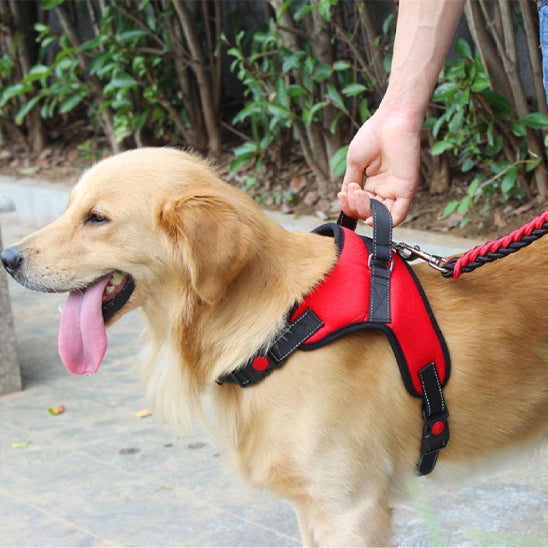 Harnais pour chien sans tirage/No-pullHarnessâą