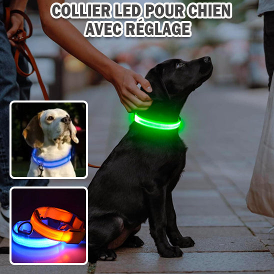 Collier chien lumineux /SafetyBandâą
