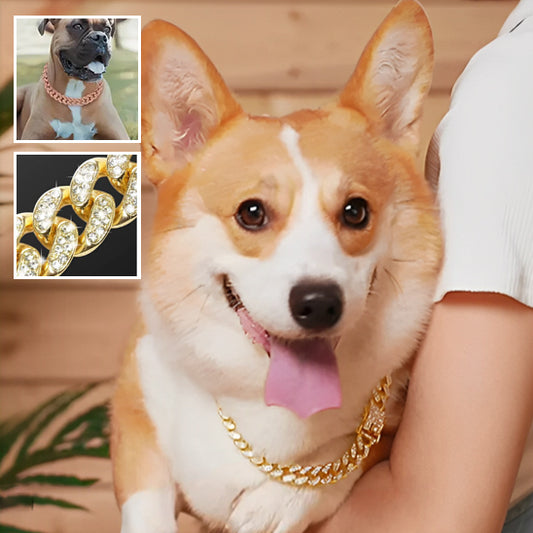 Collier pour Chien  Luxe / DogStyle™