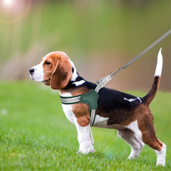 Harnais chien /mode/HarnessStyle™