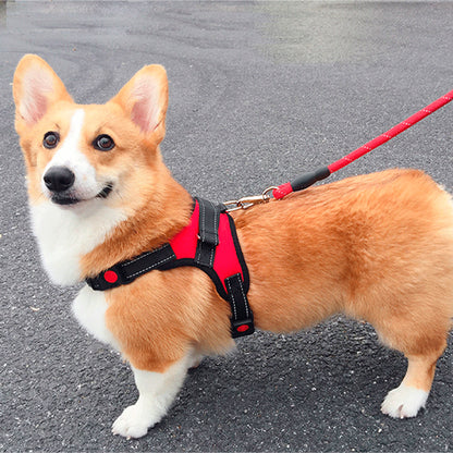 Harnais pour chien sans tirage/No-pullHarness™